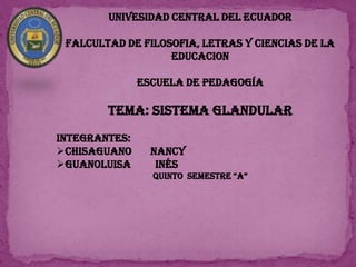 UNIVESIDAD CENTRAL DEL ECUADOR
FALCULTAD DE FILOSOFIA, LETRAS Y CIENCIAS DE LA
EDUCACION
ESCUELA DE PEDAGOGÍA
TEMA: SISTEMA GLANDULAR
INTEGRANTES:
Chisaguano Nancy
Guanoluisa Inés
QUinTo SEMESTRE “A”
 