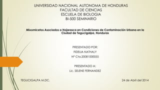 UNIVERSIDAD NACIONAL AUTONOMA DE HONDURAS
FACULTAD DE CIENCIAS
ESCUELA DE BIOLOGIA
BI-500 SEMINARIO
Mixomicetos Asociados a Hojarasca en Condiciones de Contaminación Urbana en la
Ciudad de Tegucigalpa, Honduras
PRESENTADO POR:
FIDELIA NATHALY
Nº Cta.20081000055
PRESENTADO A:
Lic. SELENE FERNANDEZ
TEGUCIGALPA M.DC. 24 de Abril del 2014
 
