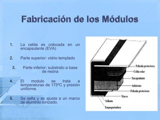 1.    La celda es colocada en un
      encapsulante (EVA)

2.    Parte superior: vidrio templado

 3.    Parte inferior: substrato a base
                   de resina

4.    El    modulo    se   trata    a
      temperaturas de 175ºC y presión
      uniforme.

5.    Se sella y se ajusta a un marco
      de aluminio ionizado.
 