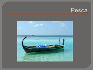 Pesca