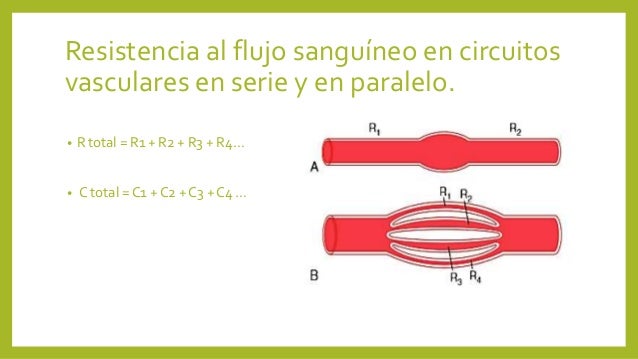 Resultado de imagen para resistencias vasculares en serie y paralelo