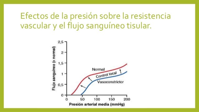 Imagen relacionada