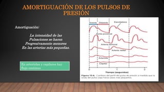 Distensivilidad Vascular Y Funci n De Los Sistemas Arterial Y Venoso PPTX distensivilidad-vascular-y-funci-n-de-los-sistemas-arterial-y-venoso-pptx