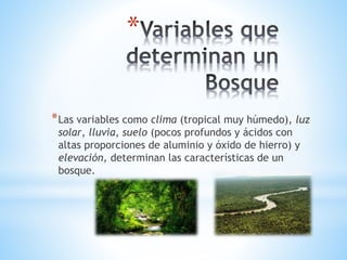 * 
*Las variables como clima (tropical muy húmedo), luz 
solar, lluvia, suelo (pocos profundos y ácidos con 
altas proporciones de aluminio y óxido de hierro) y 
elevación, determinan las características de un 
bosque. 
 