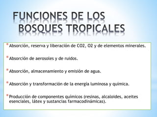 *Absorción, reserva y liberación de CO2, O2 y de elementos minerales. 
*Absorción de aerosoles y de ruidos. 
*Absorción, almacenamiento y emisión de agua. 
*Absorción y transformación de la energía luminosa y química. 
*Producción de componentes químicos (resinas, alcaloides, aceites 
esenciales, látex y sustancias farmacodinámicas). 
 