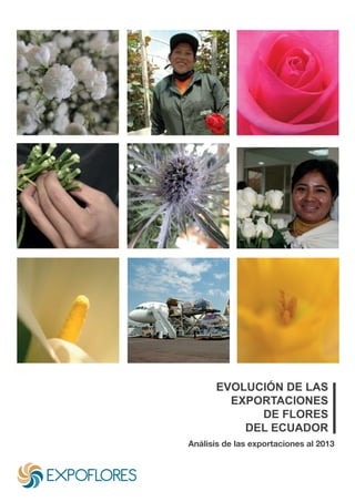 EVOLUCIÓN DE LAS
EXPORTACIONES
DE FLORES
DEL ECUADOR
Análisis de las exportaciones al 2013
 