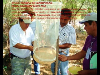 TÍTULO: TRAMPA DE MARIPOSAS.
FECHA: NOVIEMBRE 26 DEL 2010.
Con la finalidad de colectar ejemplares de mariposas para conocer el
procedimiento de preservación, el especialista científico muestra a los
integrantes del taller de Entomología cómo colocar la carpotrampa cilíndrica,
conocida también como trampa entomológica o para mariposas.
 