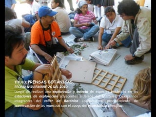 TÍTULO: PRENSAS BOTÁNICAS.
FECHA: NOVIEMBRE 26 DEL 2010.
Luego de realizar una exploración y colecta de especies botánicas en las
estaciones de exploración adyacentes a Jalapa del Marqués, Oaxaca, los
integrantes del taller de Botánica aprenden el procedimiento de
preservación de las muestras con el apoyo del especialista científico.
 
