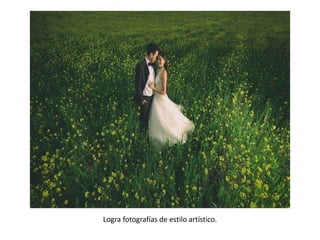 Logra fotografías de estilo artístico.
 