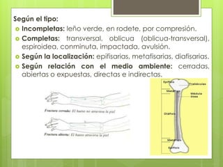 Según el tipo: 
 Incompletas: leño verde, en rodete, por compresión. 
 Completas: transversal, oblicua (oblicua-transversal), 
espiroidea, conminuta, impactada, avulsión. 
 Según la localización: epifisarias, metafisarias, diafisarias. 
 Según relación con el medio ambiente: cerradas, 
abiertas o expuestas, directas e indirectas. 
 