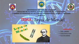 UNIVERSIDAD CENTRAL DEL ECUADOR
FACULTAD DE FILOSOFÍA, LETRAS Y CIENCIAS DE LA EDUCACIÓN
CARRERA DE PEDAGOGÍA DE LAS CIENCIAS EXPERIMENTALES QUÍMICA Y BIOLOGÍA
GENÉTICA
TEMA : Leyes de Mendel
EXPOSITORES:
 CASA SANDRA
 GUALICHICO JUAN
 PILICITA KARINA
 
