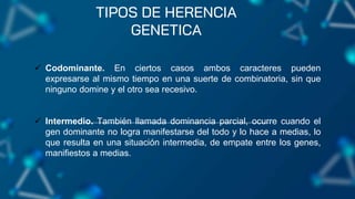 Codominante EXPOCISION GENETICA BIOLOGIA GENERAL 1.2 | PPTX