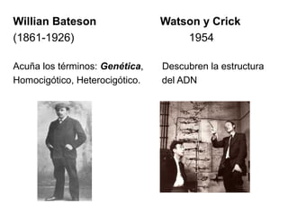 Willian Bateson Watson y Crick
(1861-1926) 1954
Acuña los términos: Genética, Descubren la estructura
Homocigótico, Heterocigótico. del ADN
 