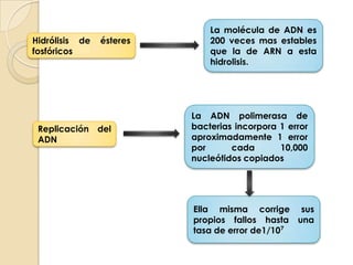 Hidrólisis de éteres fosfóricos 