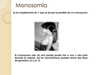MonosomíaEs el complemento 2n-1 que se da por la perdida de un cromosoma.El cromosoma solo sin una pareja puede irse a uno u otro polo durante la meiosis. Así los monosómicos pueden forma dos tipos de gametos ( n) y (n-1). 