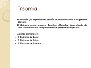   Trisomia    La trisomía  (2n +1) implica la adición de un cromosoma a un genoma diploide.    El trisómico puede producir  fenotipos diferentes, dependiendo de cual cromosoma del complemento este presente en triplicado.    Algunos ejemplo son:El Síndrome de DownEl Síndrome de PatauEl Síndrome de Edwards