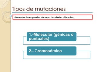 Como consecuencia aparecen individuos mosaico que poseen dos líneas celulares diferentes con distinto genotipo. 