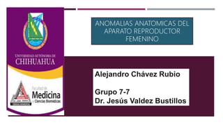 DROGAS Y
EMBARAZO
Alejandro Chávez Rubio
Grupo 7-7
Dr. Jesús Valdez Bustillos
ANOMALIAS ANATOMICAS DEL
APARATO REPRODUCTOR
FEMENINO
 