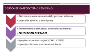 SEUDOHERMAFRODITISMO FEMENINO
• Discrepancia entre sexo gonadal y genitales externos.
• Exposición excesiva a andrógenos
• Existen ovarios y estructuras de conductos internos-
• PUNTUACION DE PRADER
• Hiperplasia suprarrenal congénita (CYP21, CYP11B).
• Exposición a fármacos, tumor ovárico virilizante
 