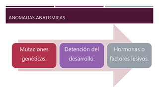 ANOMALIAS ANATOMICAS
Mutaciones
genéticas.
Detención del
desarrollo.
Hormonas o
factores lesivos.
 