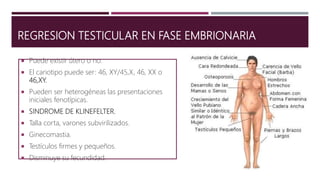 REGRESION TESTICULAR EN FASE EMBRIONARIA
 Puede existir útero o no.
 El cariotipo puede ser: 46, XY/45,X, 46, XX o
46,XY.
 Pueden ser heterogéneas las presentaciones
iniciales fenotípicas.
 SINDROME DE KLINEFELTER.
 Talla corta, varones subvirilizados.
 Ginecomastia.
 Testículos firmes y pequeños.
 Disminuye su fecundidad.
 