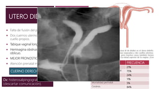 UTERO DIDELFO
 Falta de fusión del par de conductos de Muller.
 Dos cuernos uterinos separados, cada uno con cavidad y
cuello propios.
 Tabique vaginal longitudinal.
 Hemivagina obstruida por un tabique transverso u
oblicuo.
 MEJOR PRONOSTICO EN REPRODUCCION.
 Atención prenatal mas oportuna y precisa.
Dx: histerosalpingografia
(descartar comunicación).
CUERNO DERECHO
COMPLICACIONES FRECUENCIA
Aborto espontaneo 21%
Índice de supervivencia fetal. 75%
Prematurez 24%
Restricción del crecimiento. 11%
Mortalidad perinatal 5%
Cesárea. 84%
 