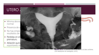 UTERO ARQUEADO
 Mínima desviación del desarrollo uterino
normal.
 Presencia de un tabique en la línea media.
 No hay empeoramiento notable en los
resultados de la esfera reproductiva.
 Perdidas en el segundo trimestre y parto
prematuro.
 Ablación quirúrgica únicamente en aborto
espontaneo repetitivo.
 