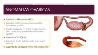 ANOMALIAS OVARICAS
 OVARIO SUPERNUMERARIO:
 Glándula ectópica sin conexión con los
ligamentos anchos.
 Puede localizarse en pelvis, retroperitoneo,
área paraaortica, mesenterio del colon o
epiplón.
 OVARIO ACCESORIO:
 Exceso de tejido ovárico unido a un ovario
normal.
 Ausencia de un ovario: congénita o adquirida.
 
