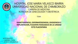 HOSPITAL JOSE MARIA VELASCO IBARRA
UNIVERSIDAD NACIONAL DE CHIMBORAZO
CARRERA DE MEDICINA
ROTACION DE GINECOLOGÍA Y OBSTÉTRICIA
INTEGRANTES:
- MARIBEL CAIZA
-JESSICA SHILQUIGUA
TEMA:
GAMETOGENESIS, ESPERMATOGENESIS, OVOGENESIS E
IMPLANTACION, PLACENTA FISIOLOGICA DE LA UNIDAD
FETO PLACENTARIA
 