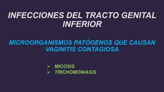 INFECCIONES DEL TRACTO GENITAL
INFERIOR
MICROORGANISMOS PATÓGENOS QUE CAUSAN
VAGINITIS CONTAGIOSA
 MICOSIS
 TRICHOMONIASIS
 