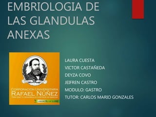 EMBRIOLOGIA DE
LAS GLANDULAS
ANEXAS
LAURA CUESTA
VICTOR CASTAÑEDA
DEYZA COVO
JEIFREN CASTRO
MODULO: GASTRO
TUTOR: CARLOS MARIO GONZALES
 