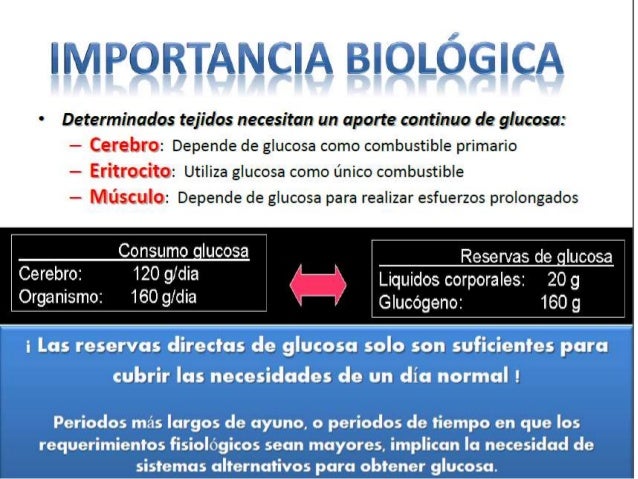 Expo,, gluconeogenesis y control de la glucosa en la sangre Expo,, gluconeogenesis y control de la glucosa en la sangre