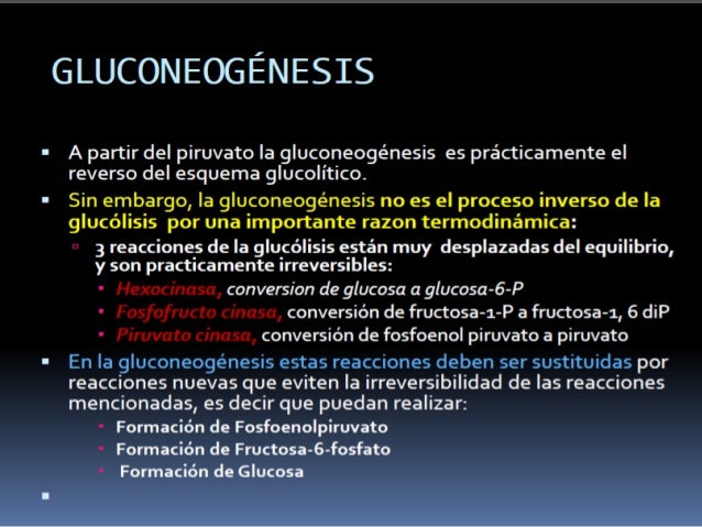 Expo,, gluconeogenesis y control de la glucosa en la sangre Expo,, gluconeogenesis y control de la glucosa en la sangre