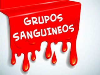 Expo group sangui