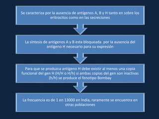 La frecuencia es de 1 en 13000 en India, raramente se encuentra en
otras poblaciones
Para que se produzca antígeno H debe existir al menos una copia
funcional del gen H (H/H o H/h) si ambas copias del gen son inactivas
(h/h) se produce el fenotipo Bombay
La síntesis de antígenos A y B esta bloqueada por la ausencia del
antígeno H necesario para su expresión
Se caracteriza por la ausencia de antígenos A, B y H tanto en sobre los
eritrocitos como en las secreciones
 