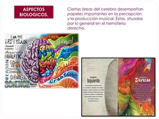 ASPECTOS 
BIOLOGICOS. 
Ciertas áreas del cerebro desempeñan 
papeles importantes en la percepción 
y la producción musical. Éstas, situadas 
por lo general en el hemisferio 
derecho. 
 