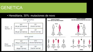 GENETICA
• Hereditaria, 30%: mutaciones de novo
 