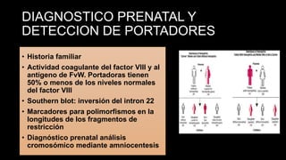 DIAGNOSTICO PRENATAL Y
DETECCION DE PORTADORES
• Historia familiar
• Actividad coagulante del factor VIII y al
antígeno de FvW. Portadoras tienen
50% o menos de los niveles normales
del factor VIII
• Southern blot: inversión del intron 22
• Marcadores para polimorfismos en la
longitudes de los fragmentos de
restricción
• Diagnóstico prenatal análisis
cromosómico mediante amniocentesis
 