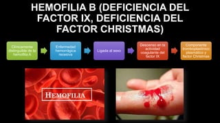HEMOFILIA B (DEFICIENCIA DEL
FACTOR IX, DEFICIENCIA DEL
FACTOR CHRISTMAS)
Clínicamente
distinguible de la
hemofilia A
Enfermedad
hemorrágica
recesiva
Ligada al sexo
Descenso en la
actividad
coagulante del
factor IX
Componente
tromboplastínico
plasmático y
factor Christmas
 