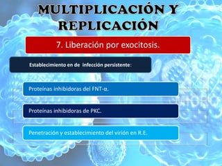 7. Liberación por exocitosis.

Establecimiento en de infección persistente:



Proteínas inhibidoras del FNT-α.


Proteínas inhibidoras de PKC.


Penetración y establecimiento del virión en R.E.
 