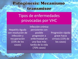 Tipos de enfermedades
           provocadas por VHC
                  Infección crónica
 Hepatitis Aguda   persistente con
con resolución de       posible      Progresión rápida
    infección y      progresión a        grave hacia
  recuperación     enfermedad en      cirrosis (15% de
   (15% de los       una fase más         los casos)
       casos)      tardía de la vida
                      (70% casos)
 