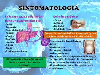 En la fase aguda sólo un 5%                  En la fase crónica:
tiene un cuadro típico de:                   - Fatiga
-Fiebre                                      -Anorexia
-Cansancio                                   -Debilidad
-Dolor abdominal                             -Perdida de peso
-Nauseas                              Cuando la enfermedad está avanzada y sin
-Vómitos                              tratamiento puede aparecer cirrosis y con ella:
-Anorexia
-Ictericia                               -Edema en miembros inferiores
-Coluria                                 -Ascitis
-Acolia                                  -Ictericia severa
-Prurito generalizado.                   -Red venosa colateral
                                          -varices esofágicas
                                         -Alteraciones de la coagulación de la sangre
 Otros pasan la enfermedad como si       con aparición frecuente de hematomas o
    fuese una gripe o, incluso, sin      hemorragias por las encías o por la nariz
             enterarse.                  -Algunos hombres presentan ginecomastia
                                         -encefalopatía
 