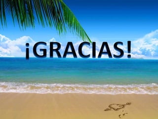 Descripción del virus de la hepatitis C