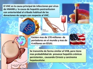El VHC es la causa principal de infecciones por virus
de HNANB y la causa de hepatitis postranfusion
con anterioridad al cribado habitual de las
donaciones de sangre con respecto al VHC.




                          Existen mas de 170 millones de
                          portadores en el mundo y mas de
                          4 millones en EEUU.

                         Se transmite de forma similar al VHB, pero tiene
                         mas probabilidad de provocar hepatitis crónicas
                         persistentes , causando Cirrosis y carcinoma
                         hepatocelular.
 