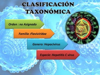 Orden : no Asignado

      Familia :Flaviviridae


                Genero: Hepacivirus


                      Especie: Hepatitis C virus
 