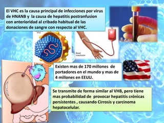 Descripción del virus de la hepatitis C