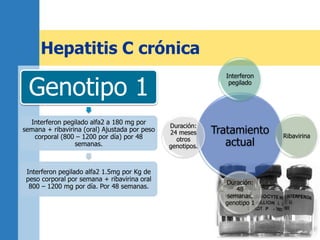 Hepatitis C crónica
Tratamiento
actual
Interferon
pegilado
Ribavirina
Duración:
48
semanas,
genotipo 1
Duración:
24 meses
otros
genotipos.
Genotipo 1
Interferon pegilado alfa2 a 180 mg por
semana + ribavirina (oral) Ajustada por peso
corporal (800 – 1200 por día) por 48
semanas.
Interferon pegilado alfa2 1.5mg por Kg de
peso corporal por semana + ribavirina oral
800 – 1200 mg por día. Por 48 semanas.
 
