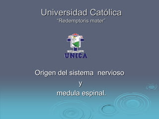 Universidad Católica
      “Redemptoris mater”




Origen del sistema nervioso
              y
      medula espinal.
 