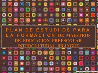 P L AN DE E S T UDI OS P ARA
L A F O R M A C I O N DE MAESTROS
    DE EDUCACION PREESCOLAR
     INTERCULTURAL BILINGÜE
 