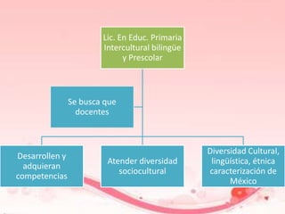 Lic. En Educ. Primaria
                        Intercultural bilingüe
                              y Prescolar



                Se busca que
                  docentes



                                                 Diversidad Cultural,
Desarrollen y
                         Atender diversidad       lingüística, étnica
  adquieran
                            sociocultural        caracterización de
competencias
                                                       México
 